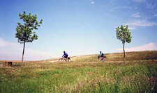 Spain-Galicia-Burgos to Ponferrada Cycling along the Camino